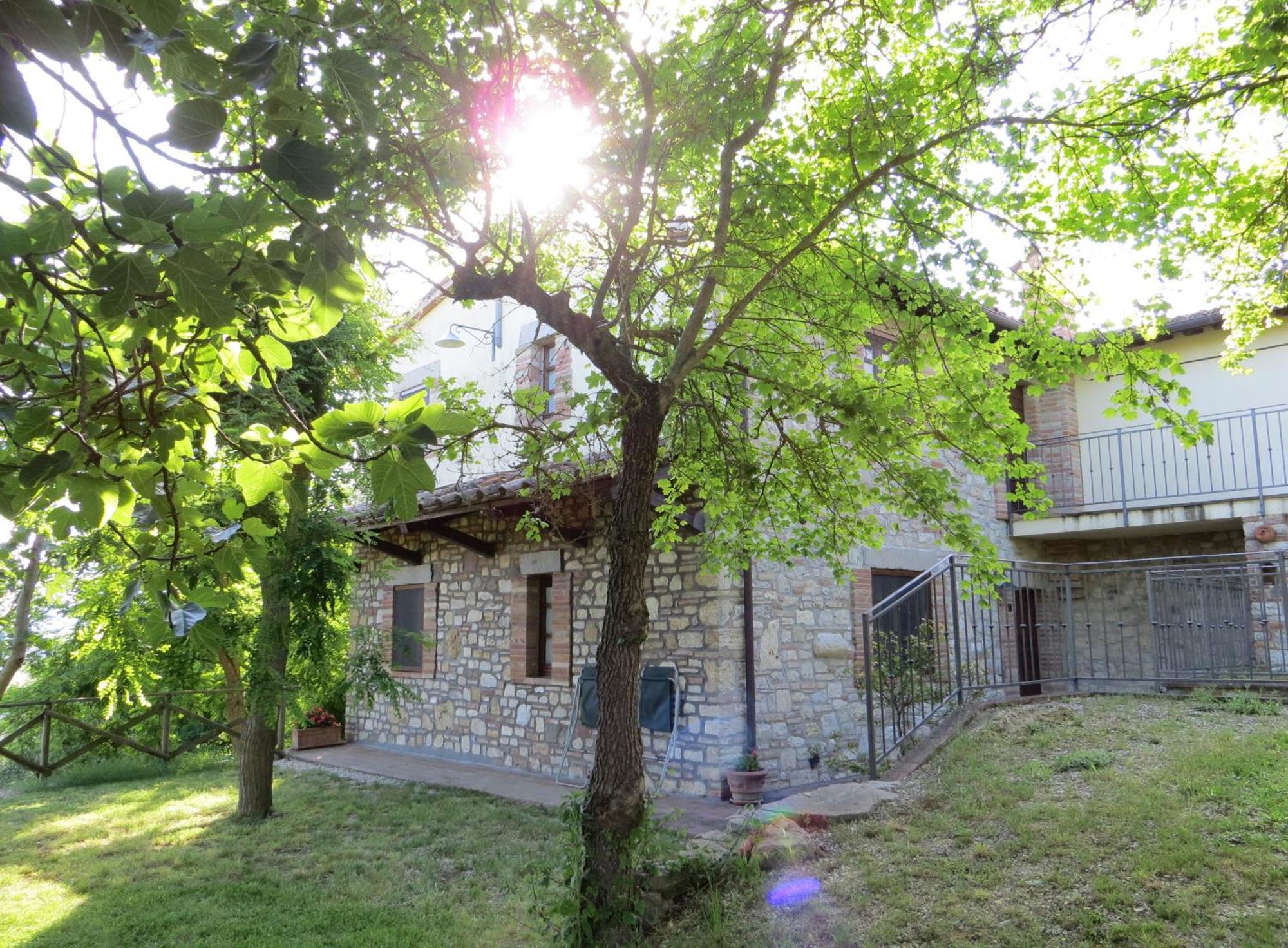 Agriturismo Casale Delle Lucrezie تودي المظهر الخارجي الصورة