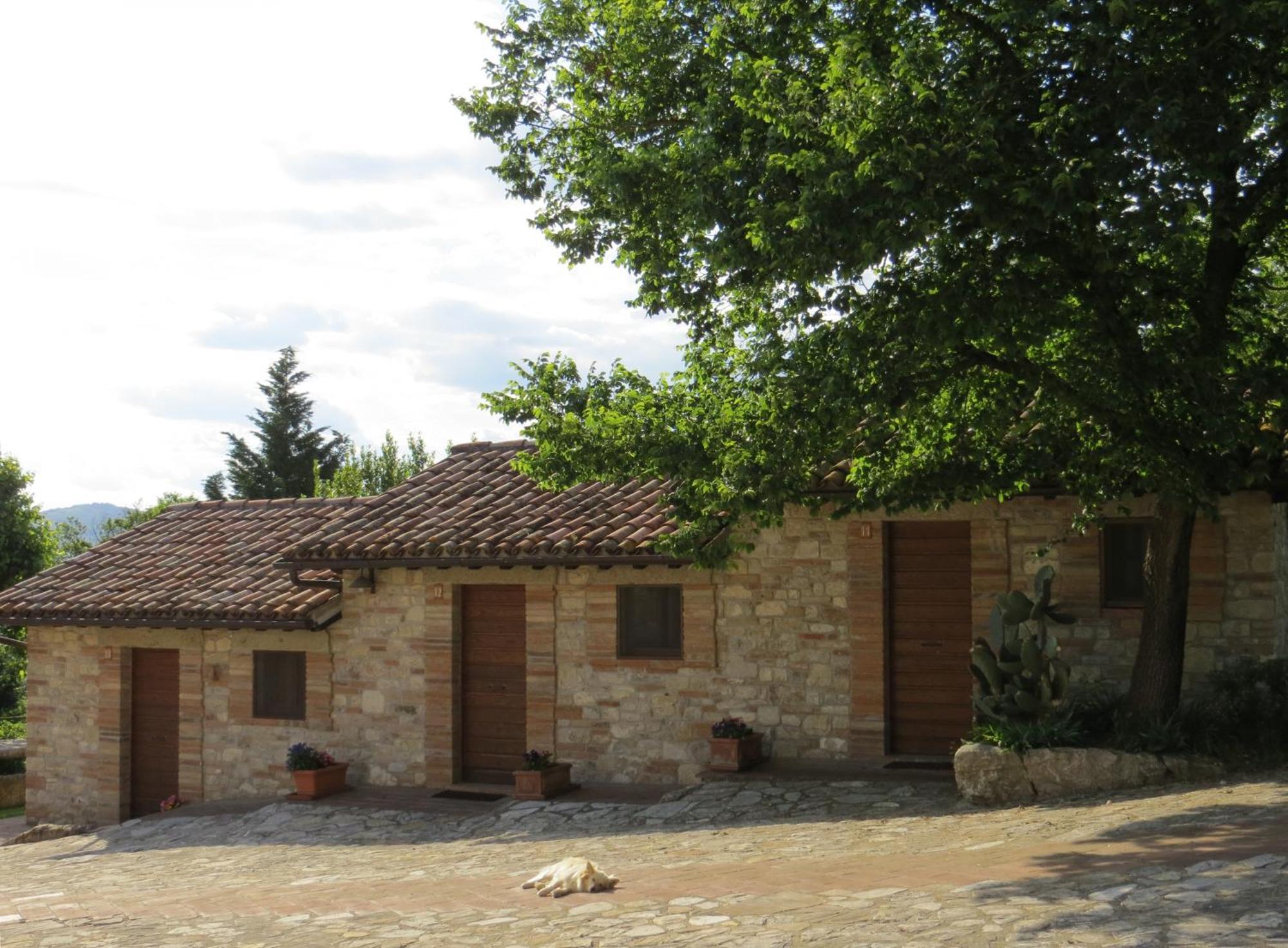 Agriturismo Casale Delle Lucrezie تودي المظهر الخارجي الصورة
